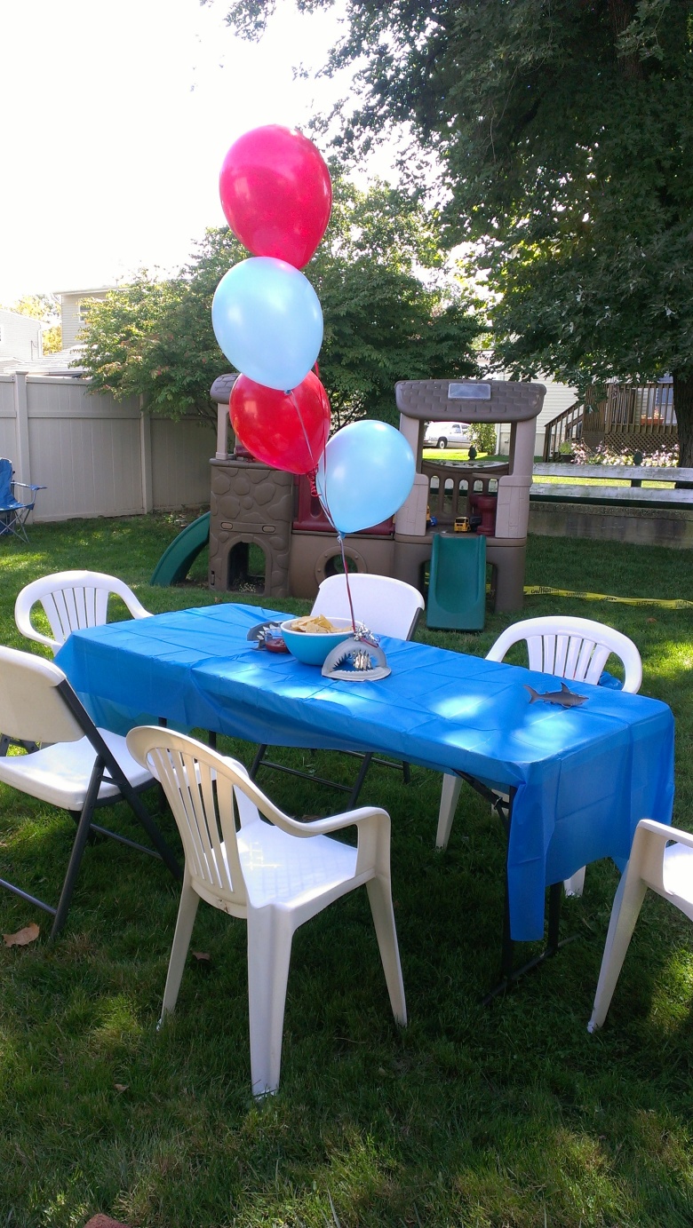 Backyard Birthday Party Ideas Adults Mystical Designs And Tags